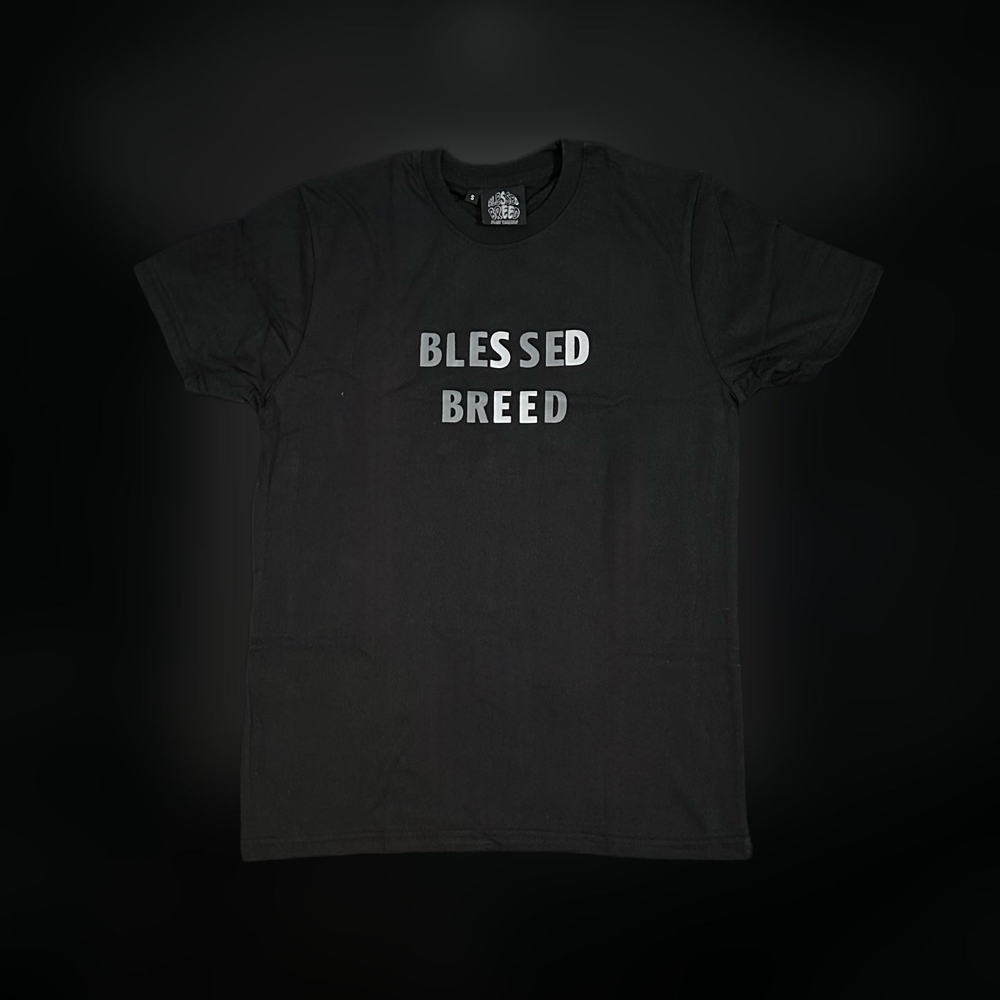 Black "Romans 6:4" Tee
